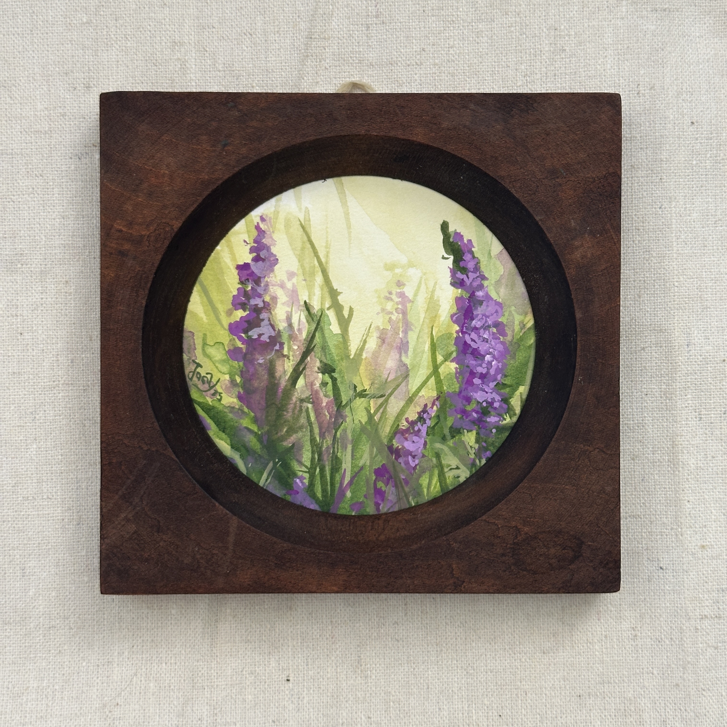 Lythrum Salicaria